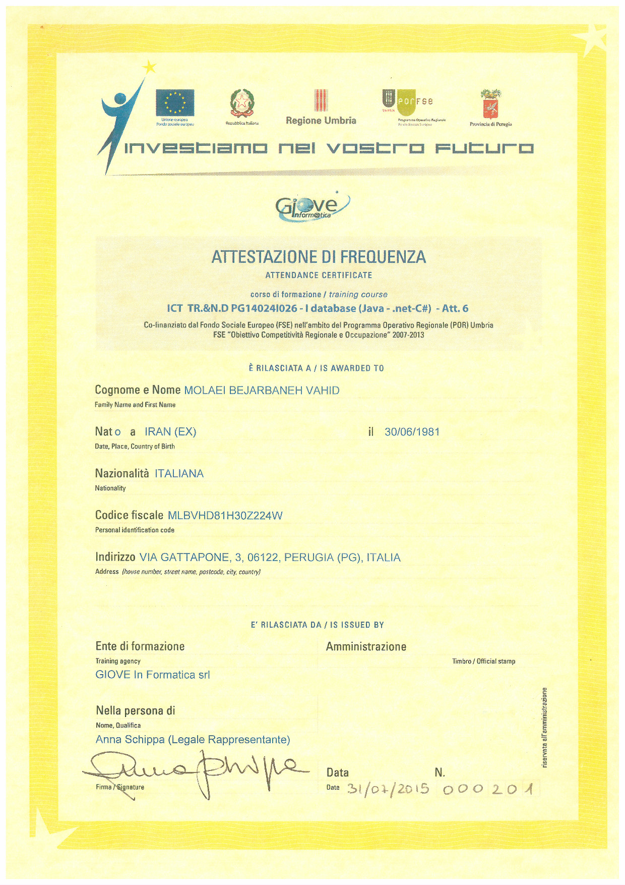 Database Management Certificate - Front