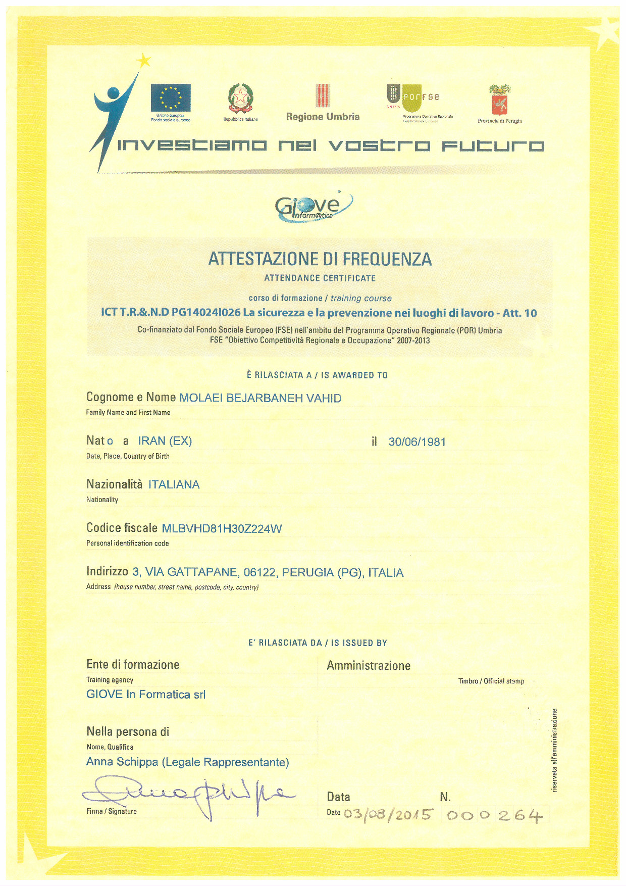 Workplace Safety Certificate - Front